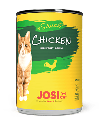 Chicken Sauce