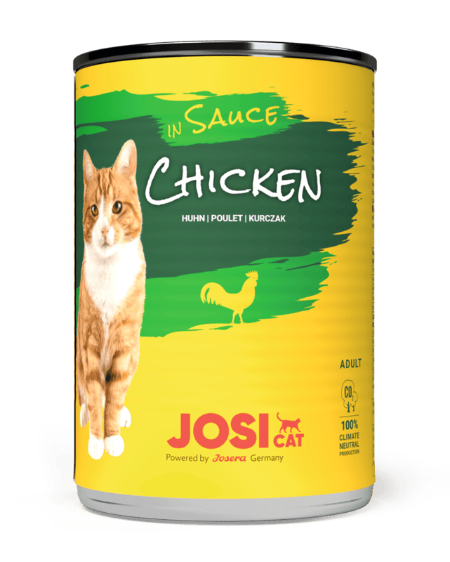 Chicken Sauce Chicken Sauce
