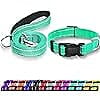 Combo Leash Medium size