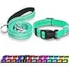 Combo Leash Medium size Combo Leash Medium size