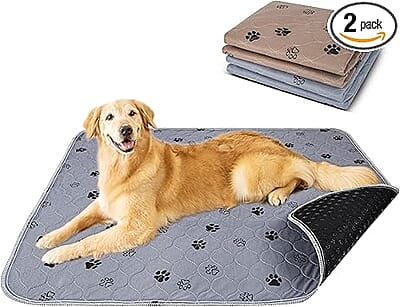 Velvex Puppy training Bed Pad- 60 by 90cm Large (1 piece)