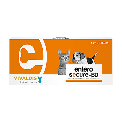 Enterosecure BD Probiotic & Papaya