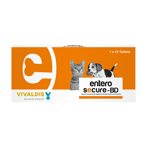 Enterosecure BD Probiotic & Papaya Enterosecure BD Probiotic & Papaya