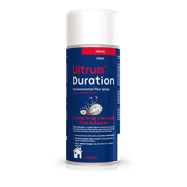 Ultrum duration Canine Ultrum duration Canine