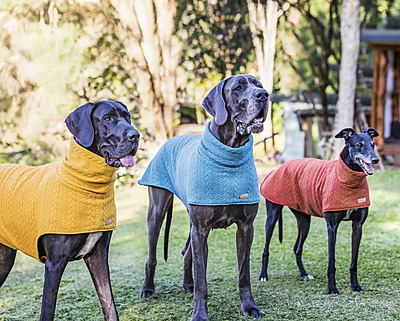 Dog Sweaters