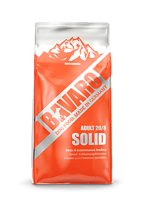 Bavaro Solid