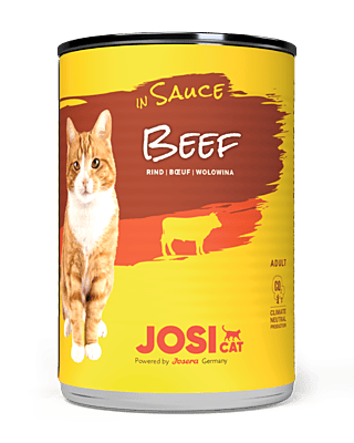 Sauce Beef