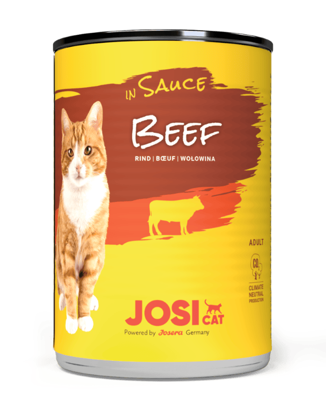 Sauce Beef Sauce Beef