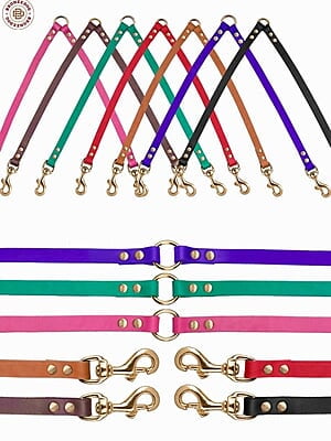 Leash with Coupler